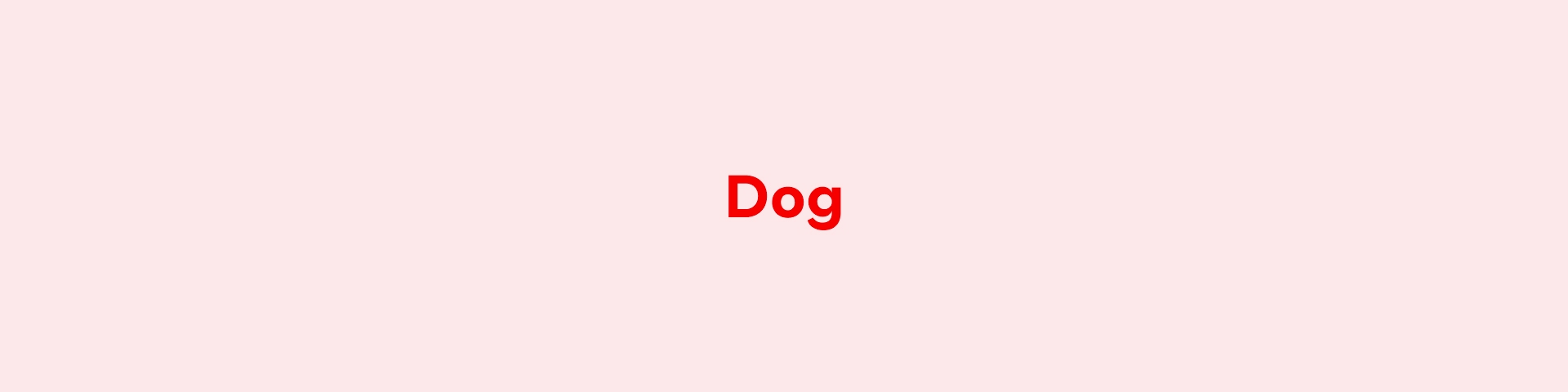 Dog