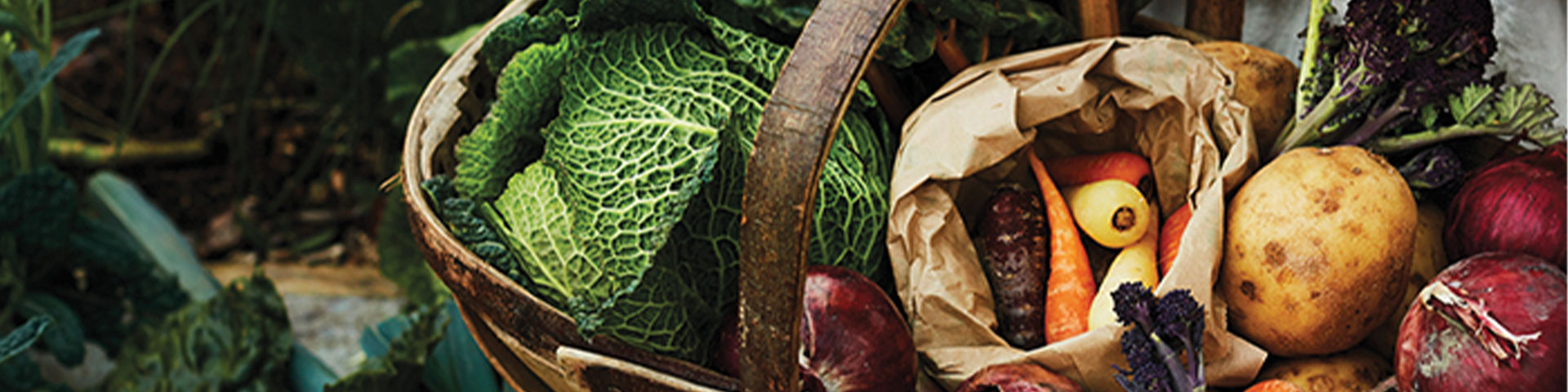 Our Fresh Fruit & Vegetables