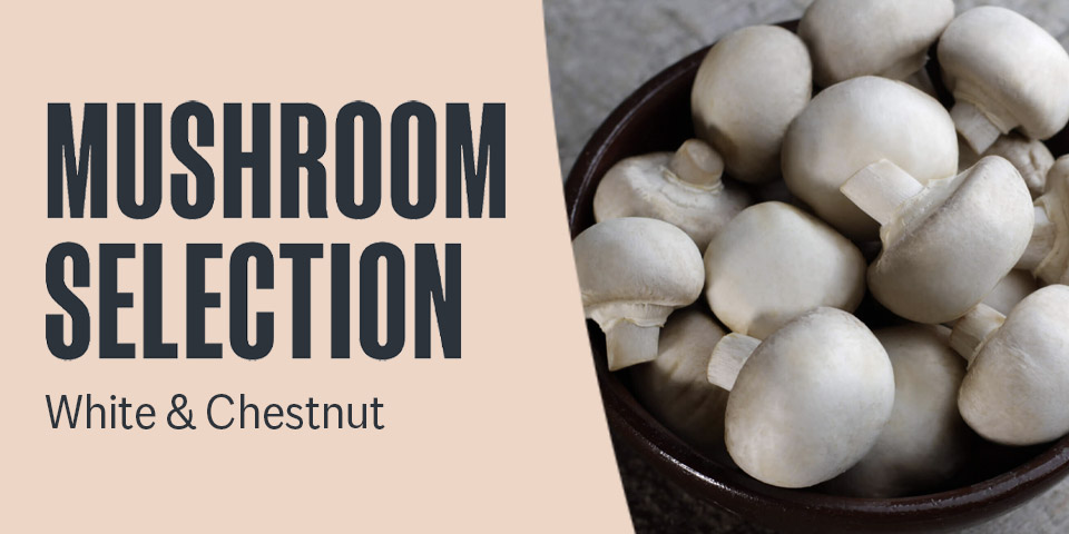 Mushroom Selection - White & Chestnut