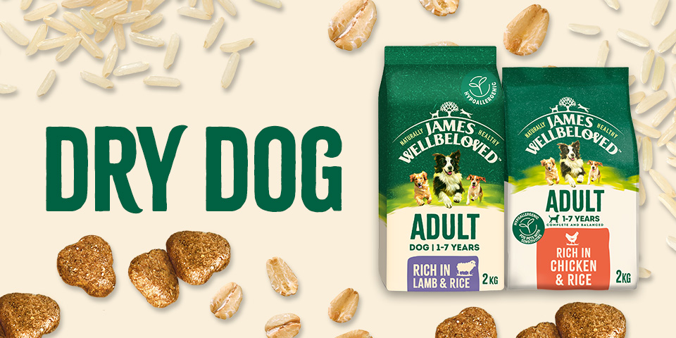 James Wellbeloved Dry Dog - Natural prebiotics for healthy digestion