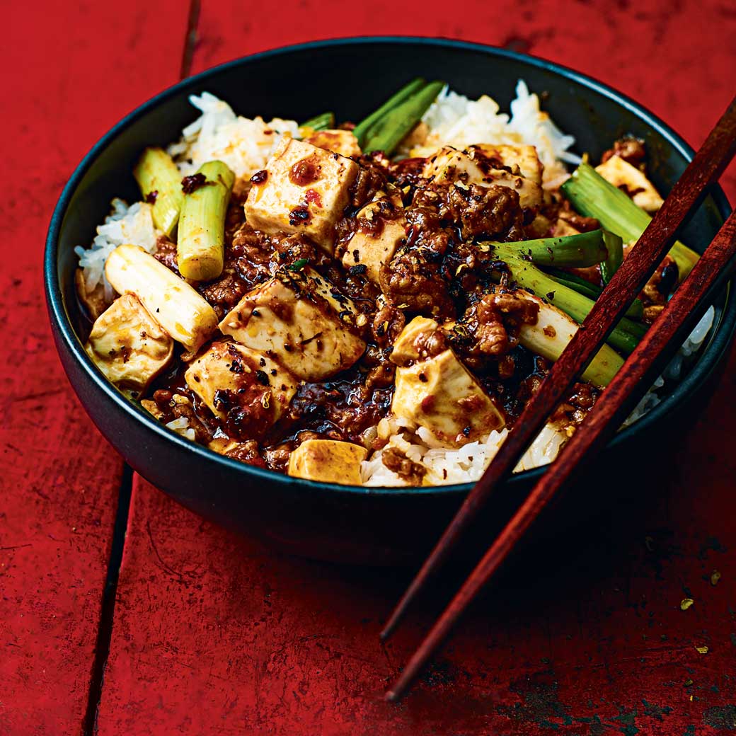 Vegan Mapu Tofu