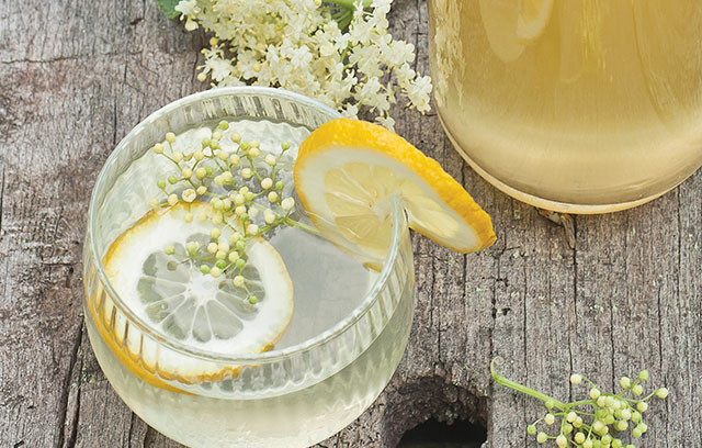 English Elderflower Drink