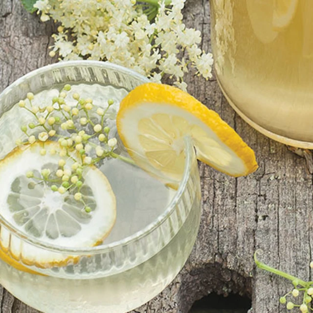 English Elderflower Drink