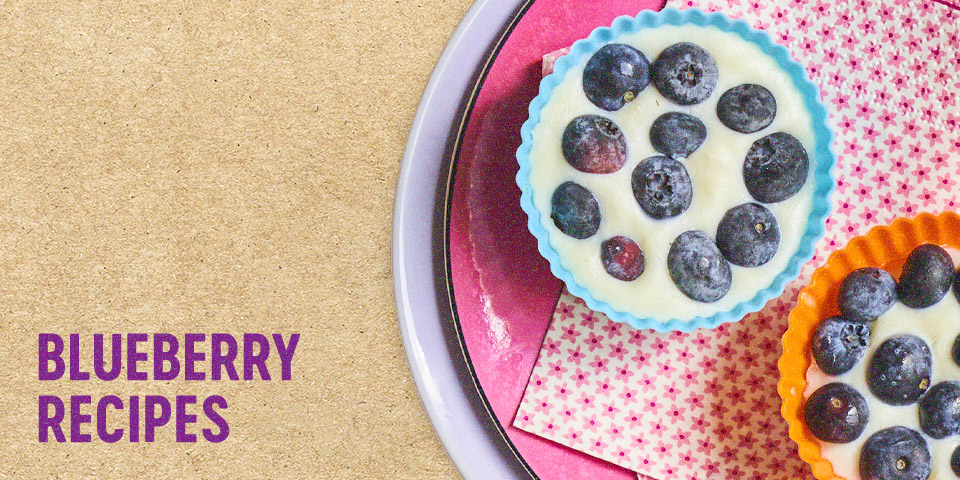 Blueberry Recipes