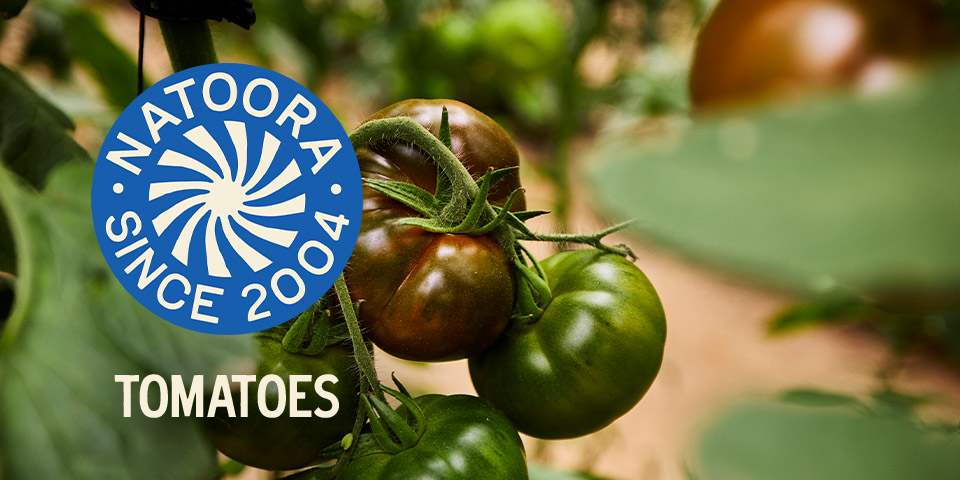 Natoora - Tomatoes