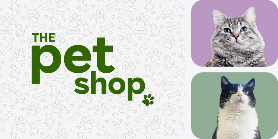 The Pet Shop - Cats