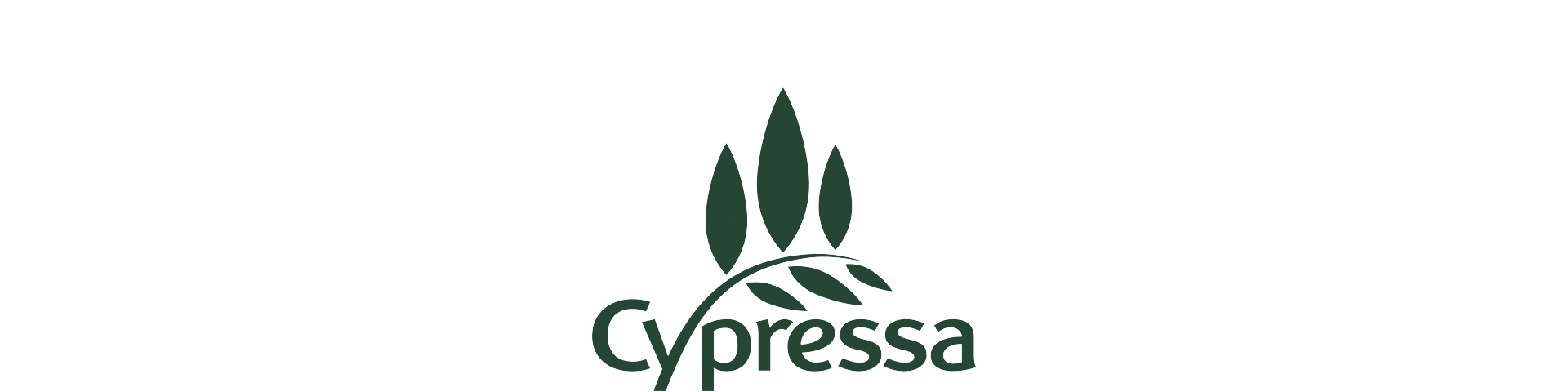 Cypressa