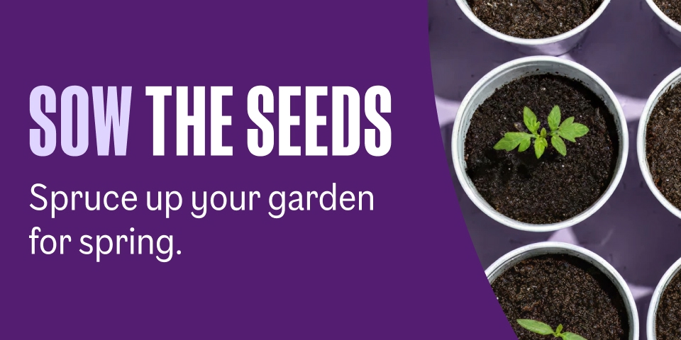 Spruce your garden for spring