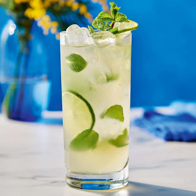 Elderflower Kombucha Mojito