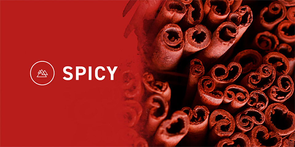 Explore Our Whisky Collection - Spicy