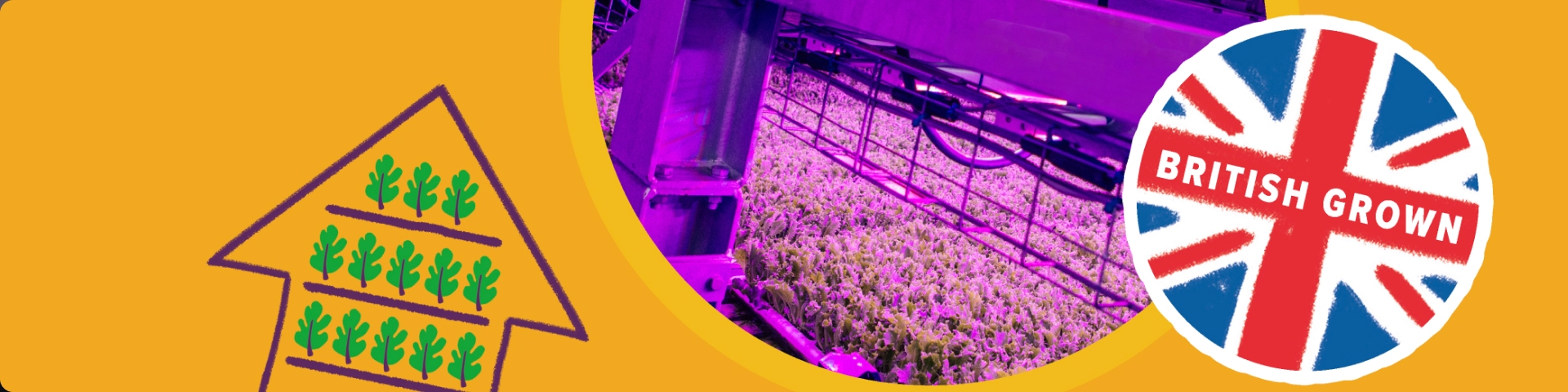 Article : Vertical Farming