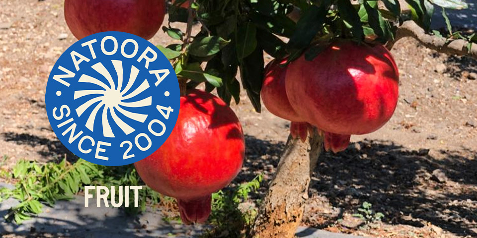 Natoora - Fruit