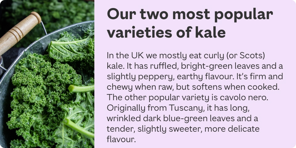In the UK we mostly eat curly (or Scots) kale. It has ruffled, bright-green leaves and a slightly peppery, earthy flavour. It’s firm and chewy when raw, but softens when cooked. Also Cavolo nero, with its long, wrinkled dark blue-green leaves.