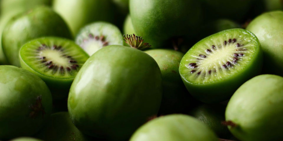 Best of Fresh