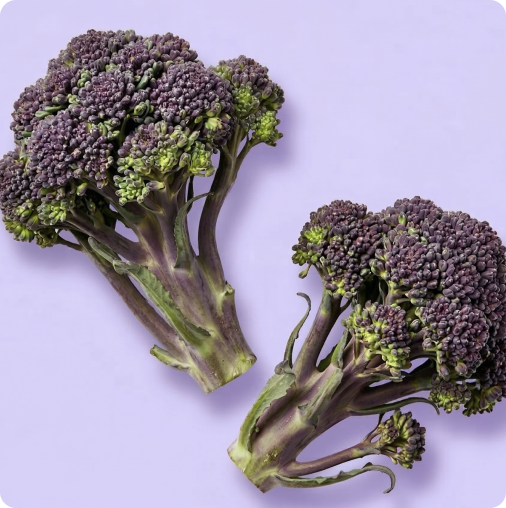 Shop Purple Sprouting Broccoli