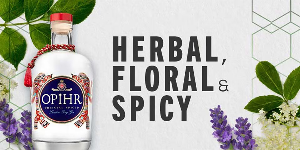 Explore Gin - Herbal, Floral & Spicy