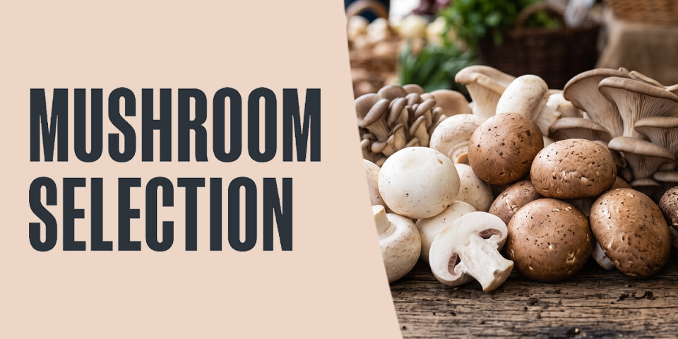 Mushroom Selection