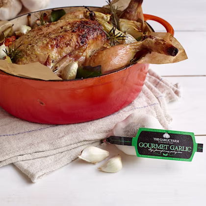 Classic Chicken with 40 Cloves of Garlic