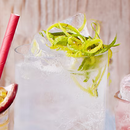 Gin and Tonic
