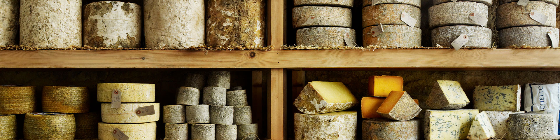 Our Dairy