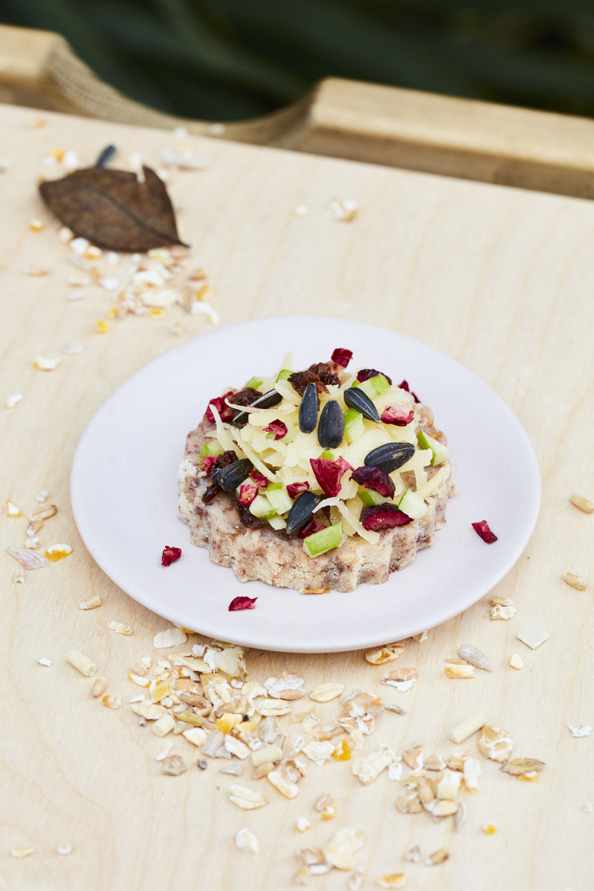 Blackbird-berry Cheesecake