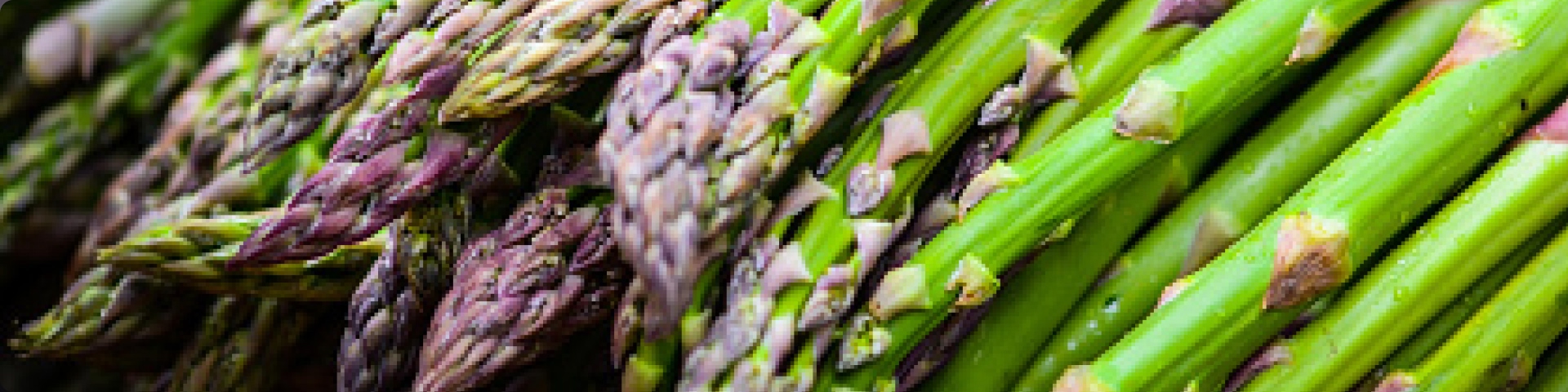 Find out more about spring asparagus 