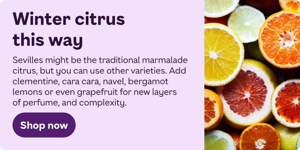 winter citrus this way