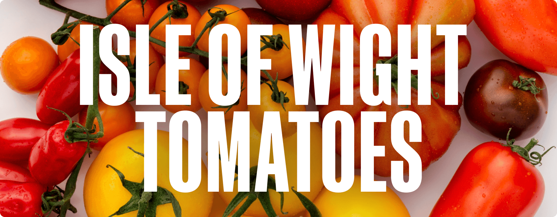 In season: Isle of Wight Tomatoes