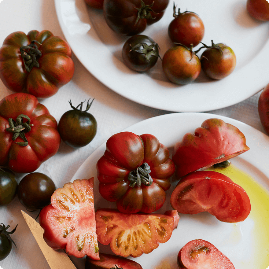 Tomato Recipe