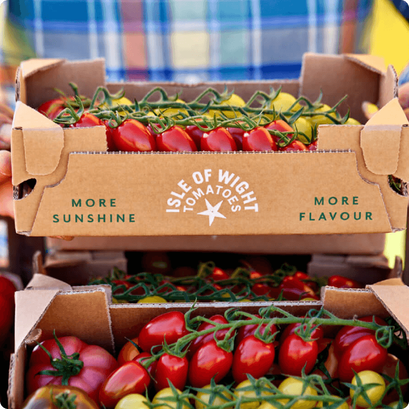Boxes of freshly picked Isle of Wight Tomatoes