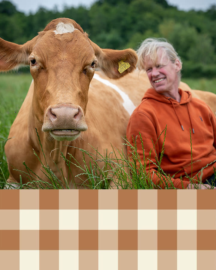 Paul Griffin with one of the Guernsey Cows