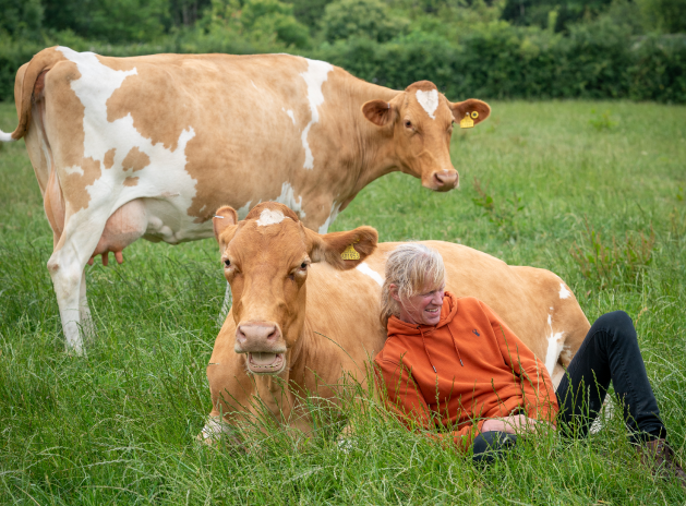 Meet The Herd at Briddlesford Farm