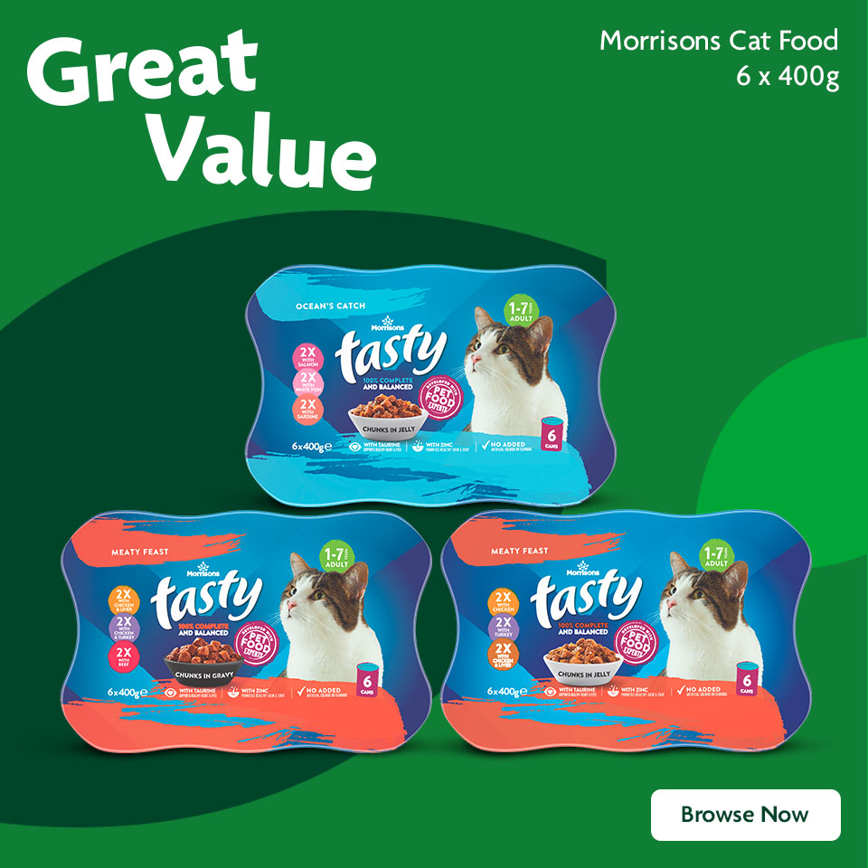 Cat Food Promotional Banner 