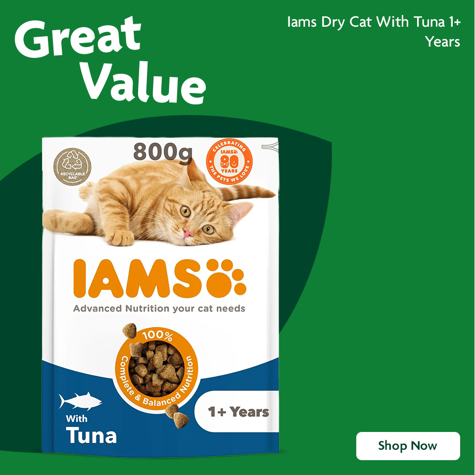 IAMS promotional banner