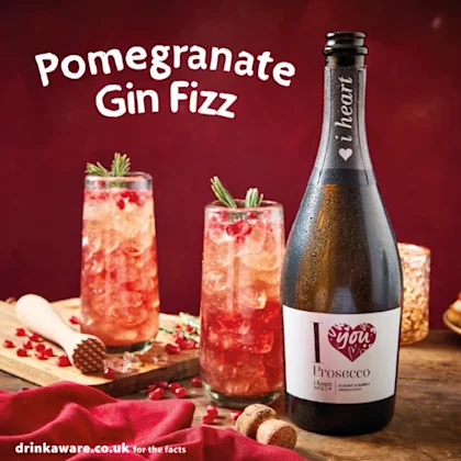 Valentine's Day Pomegranate Gin Fizz