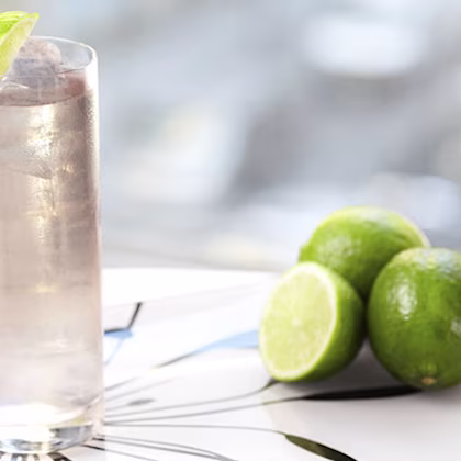 Gin Fizz