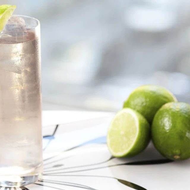 Gin Fizz