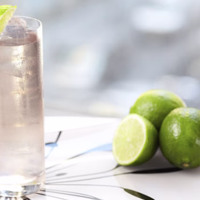 Gin Fizz