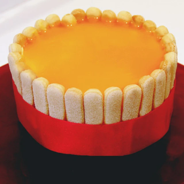 Tropical Bavarois