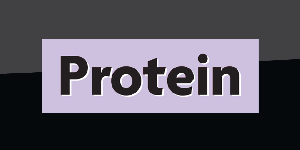 Protein