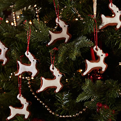 Reindeer Biscuits