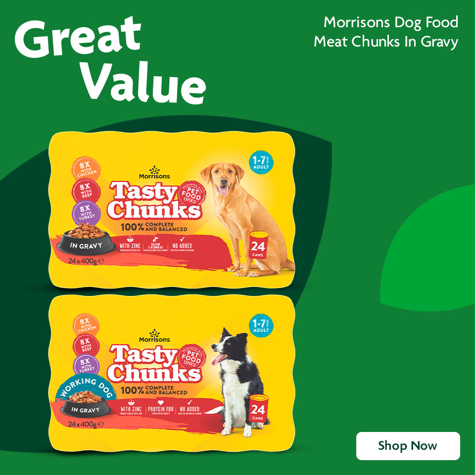 Dog Food Promotional Banner 