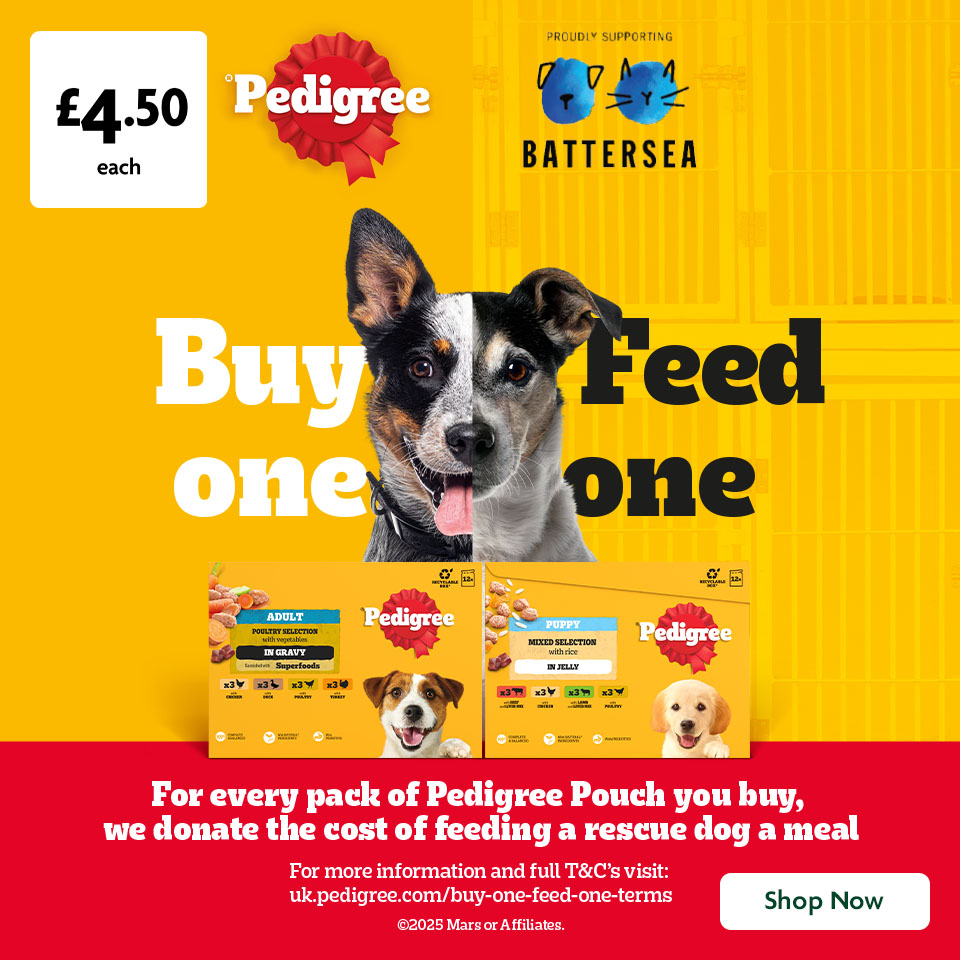 Pedigree promotional banner