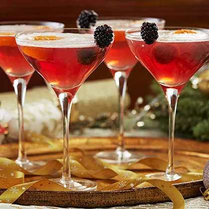 Cranberry Punch Cocktail with Dried Orange and Blackberry Garnish