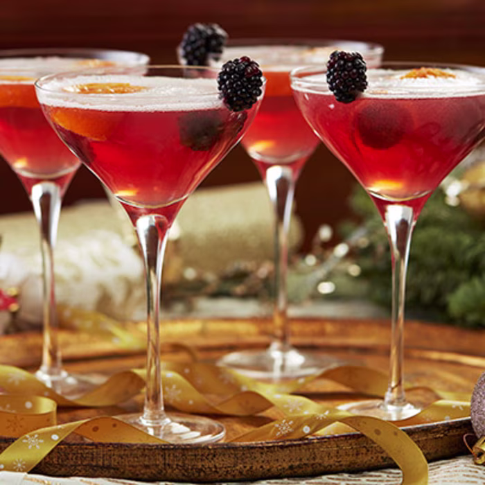 Cranberry Punch Cocktail with Dried Orange and Blackberry Garnish