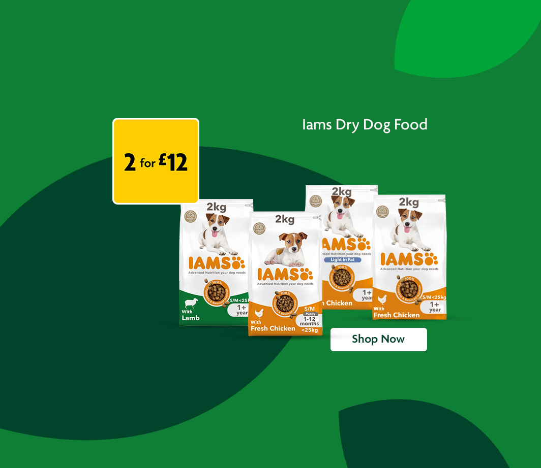 Iams promotional banner