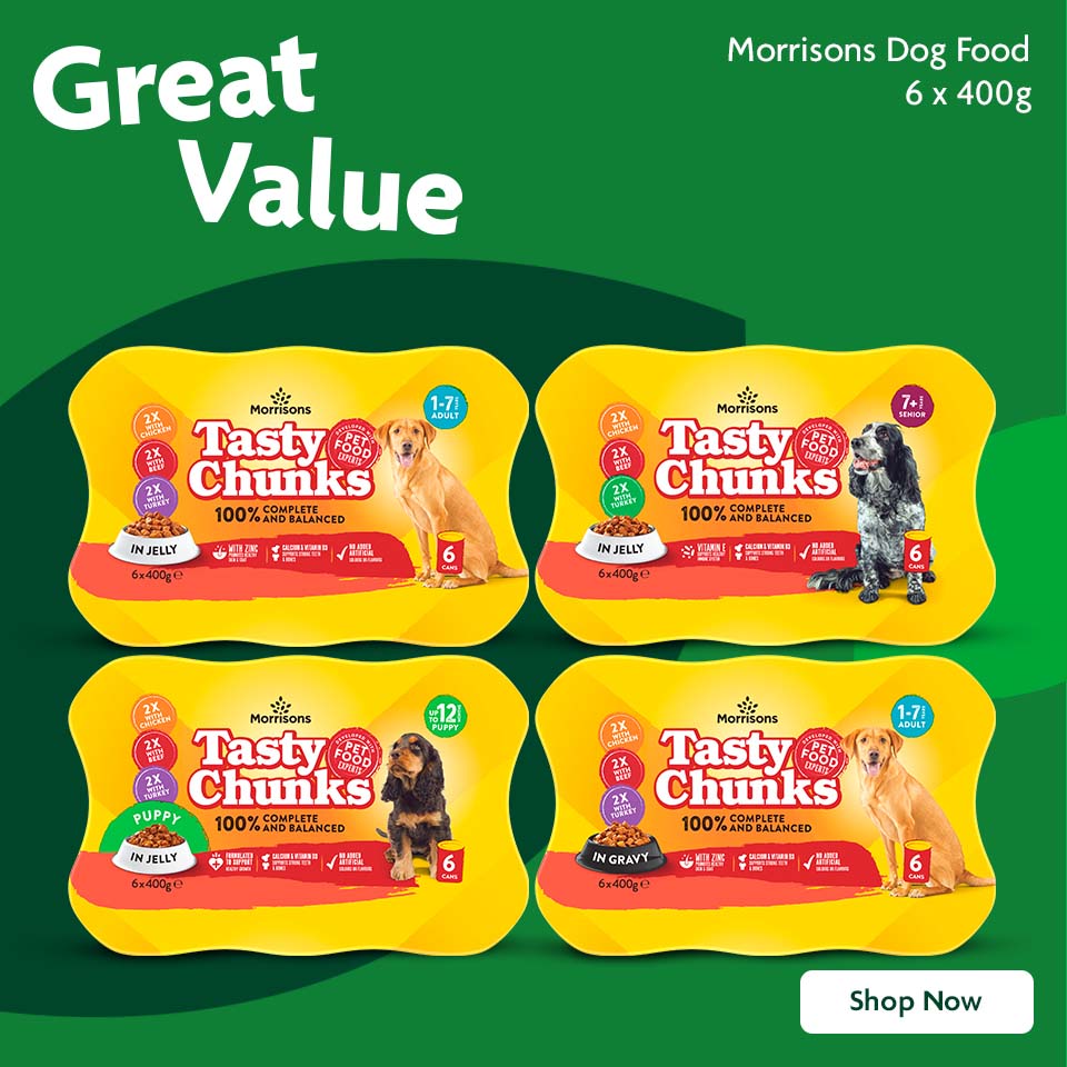 Dog Food Promotional Banner 