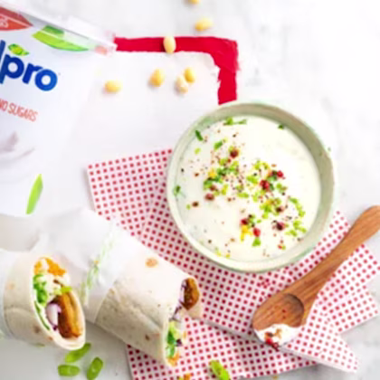 Falafel Wrap with a Tangy Dip