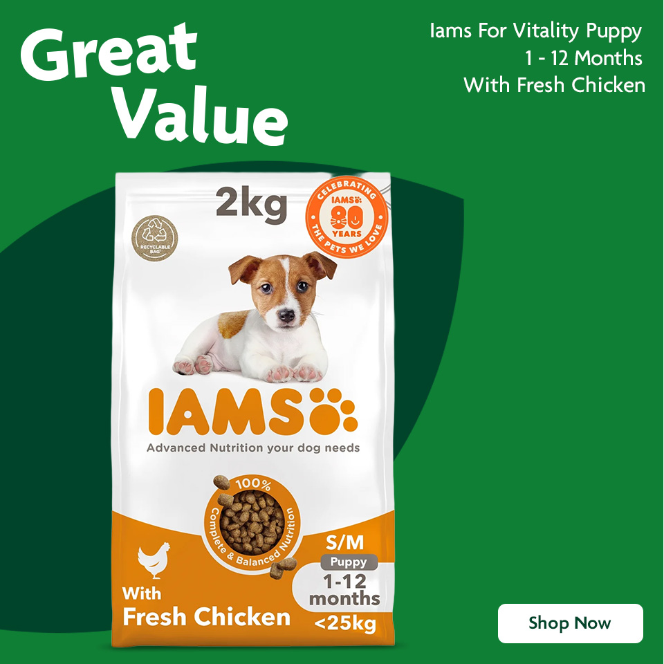  IAMS promotional banner