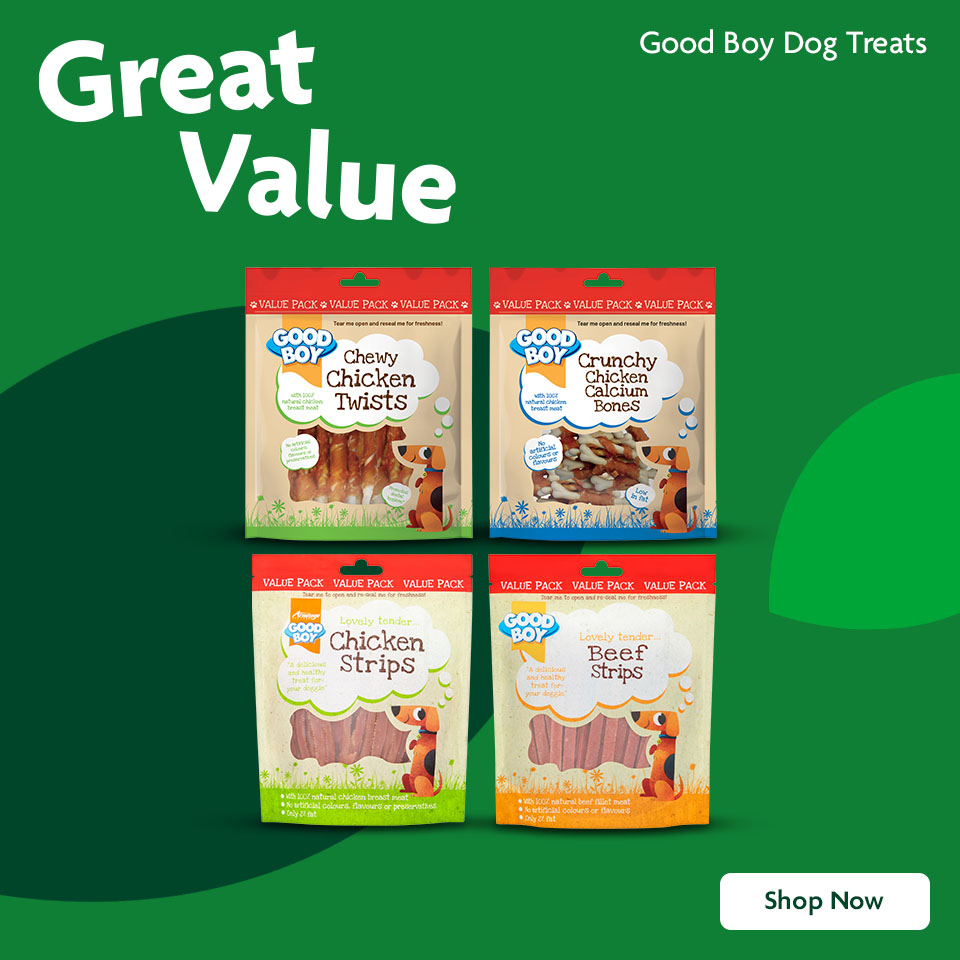 Good boy promotional banner